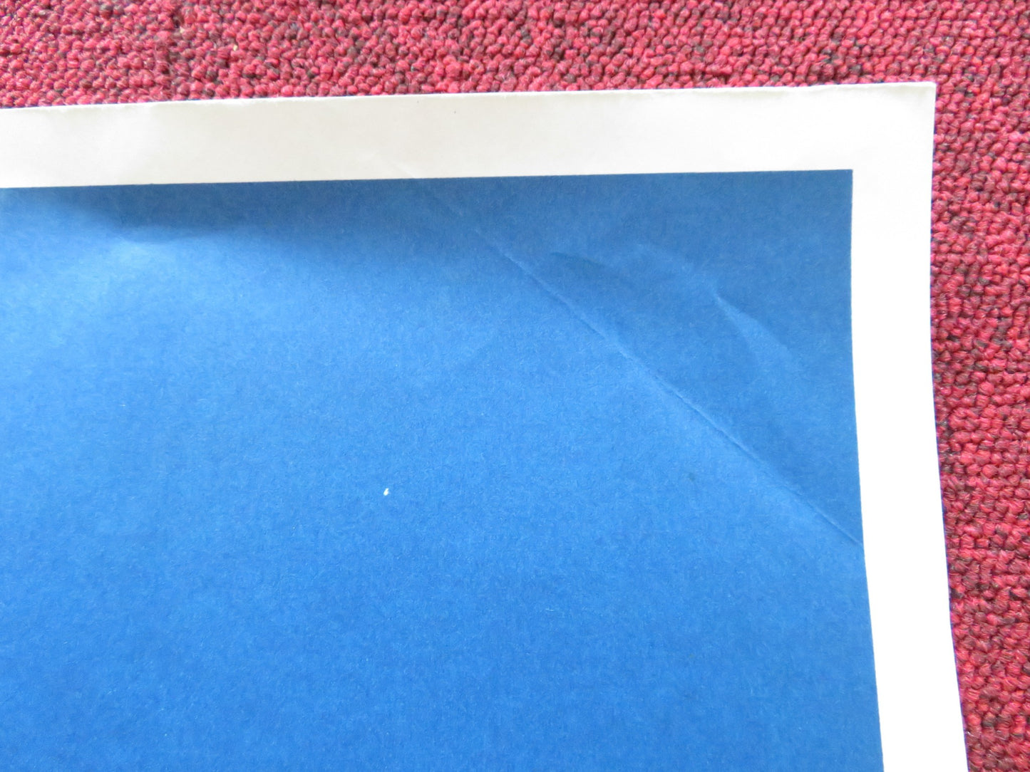 JONATHAN LIVINGSTON SEAGULL FRENCH POSTER HALL BARTLETT JAMES FRANCISCUS 1973 - Rendezvous Cinema