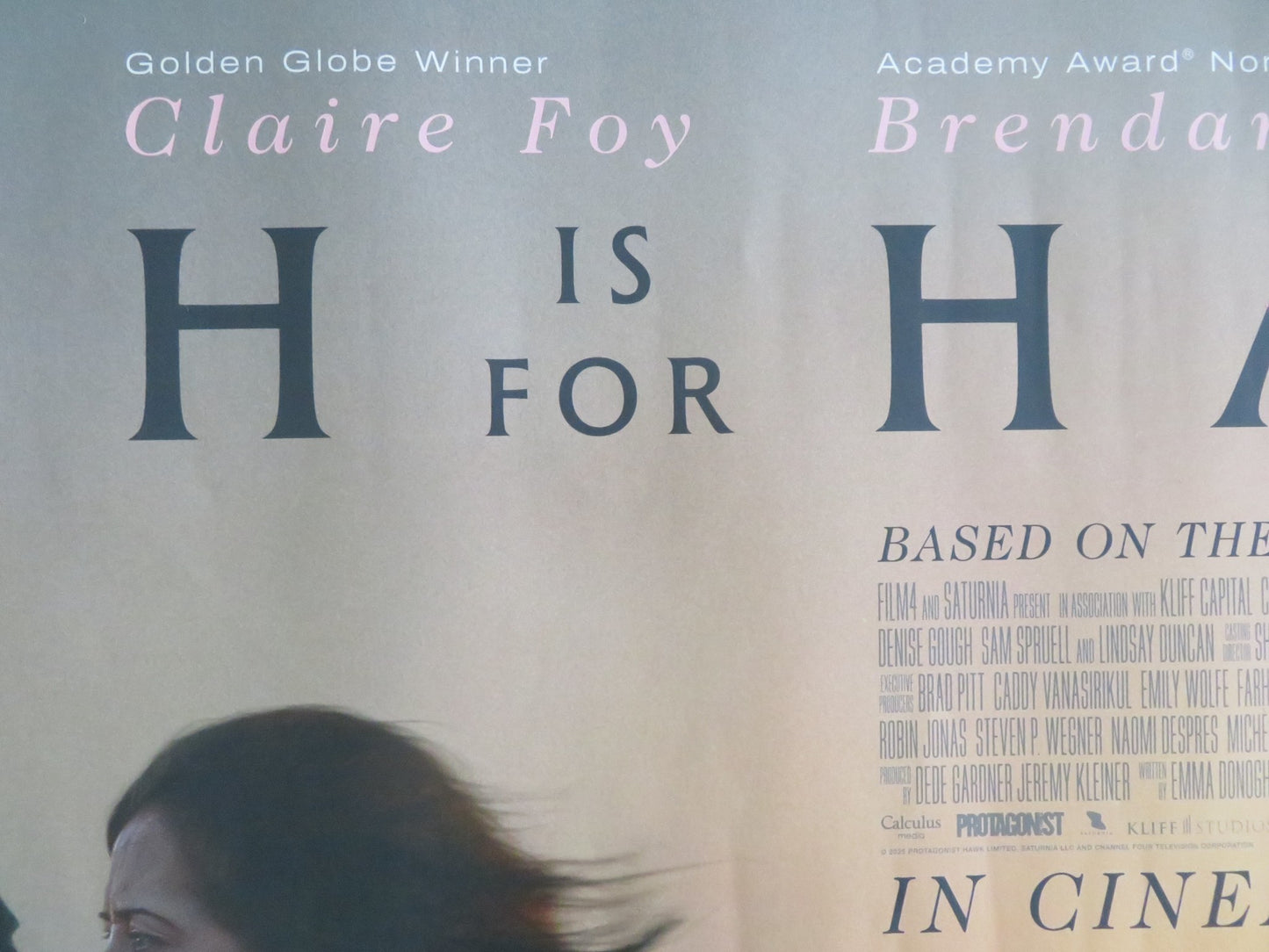 H Is For Hawk UK Quad Rolled Poster Claire Foy Brendan Gleeson 2025