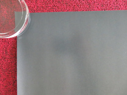 H Is For Hawk UK Quad Rolled Poster Claire Foy Brendan Gleeson 2025