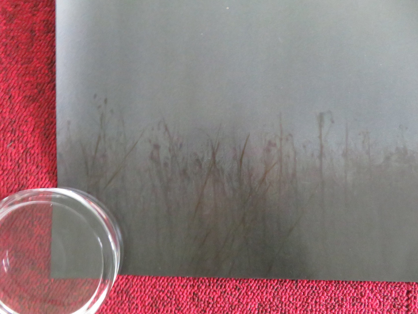 H Is For Hawk UK Quad Rolled Poster Claire Foy Brendan Gleeson 2025