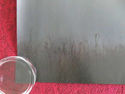 H Is For Hawk UK Quad Rolled Poster Claire Foy Brendan Gleeson 2025