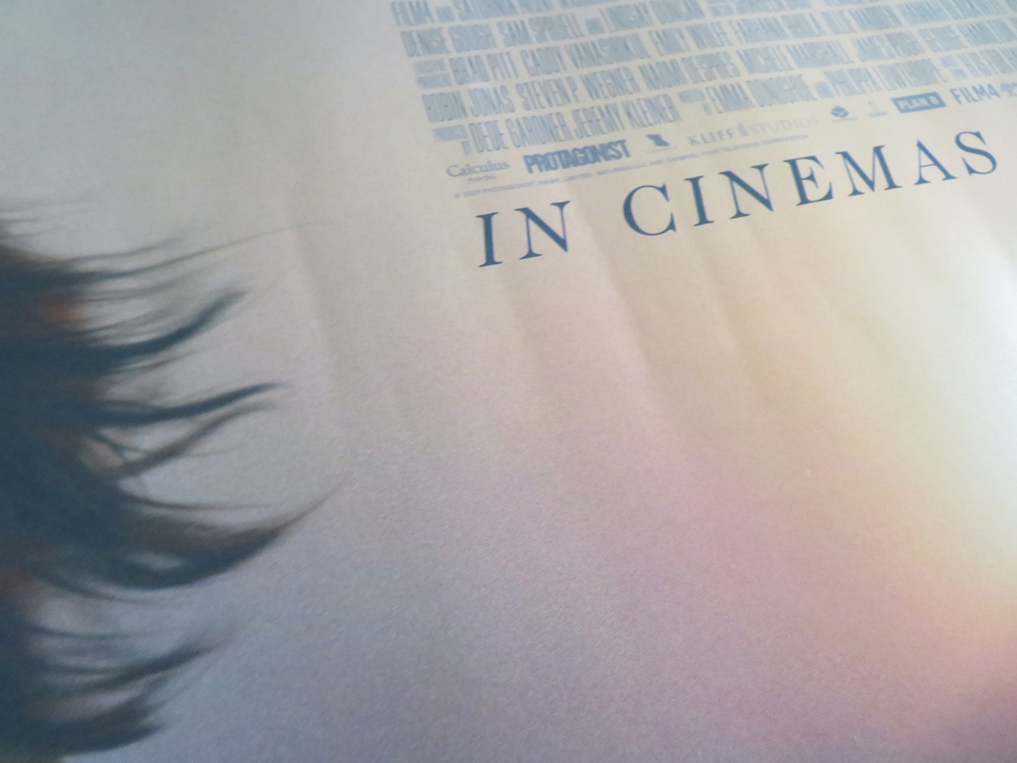 H Is For Hawk UK Quad Rolled Poster Claire Foy Brendan Gleeson 2025