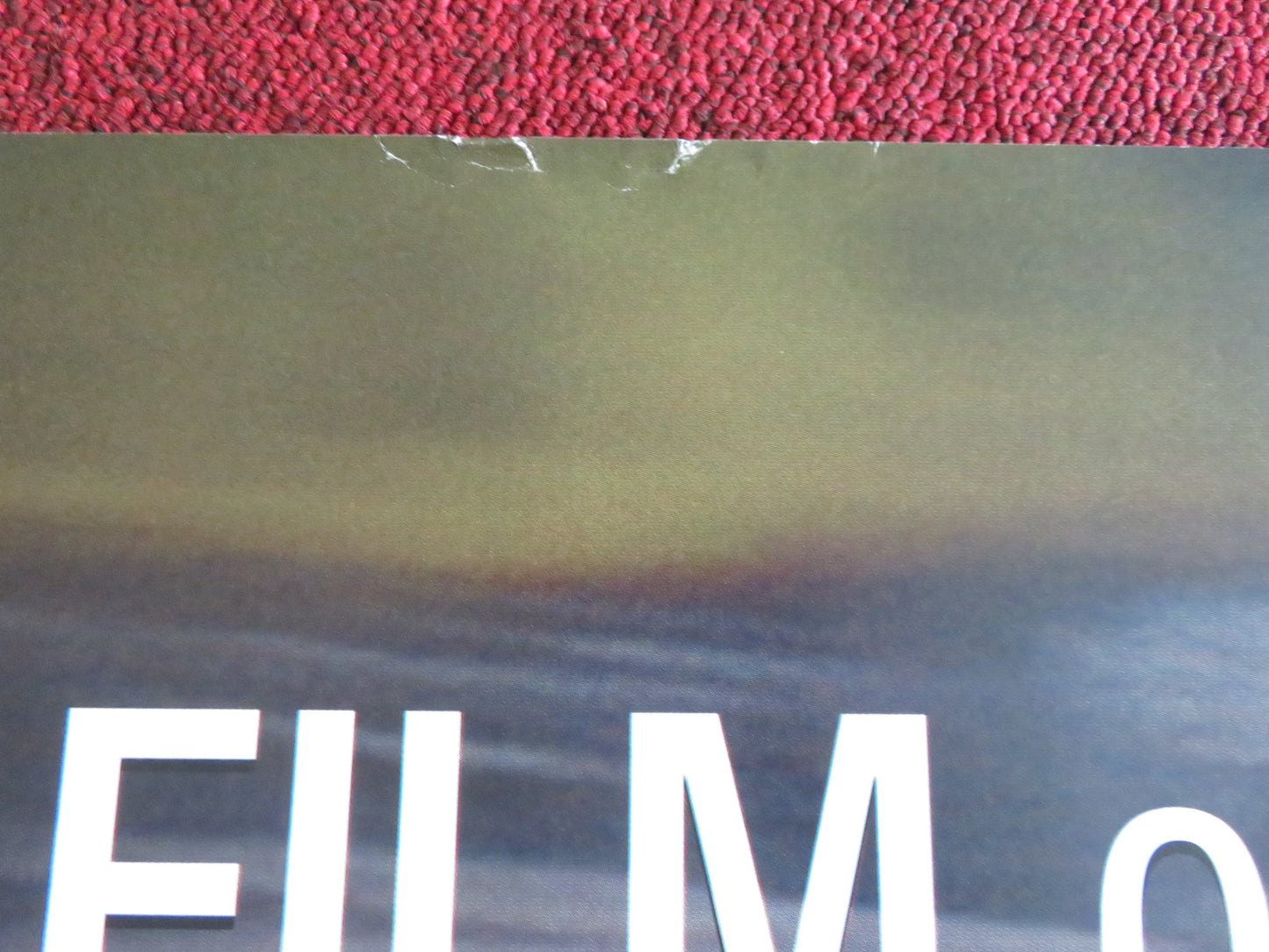 Marty Supreme - B UK Quad Rolled Poster Timothee Chalamet Gwyneth Paltrow 2025