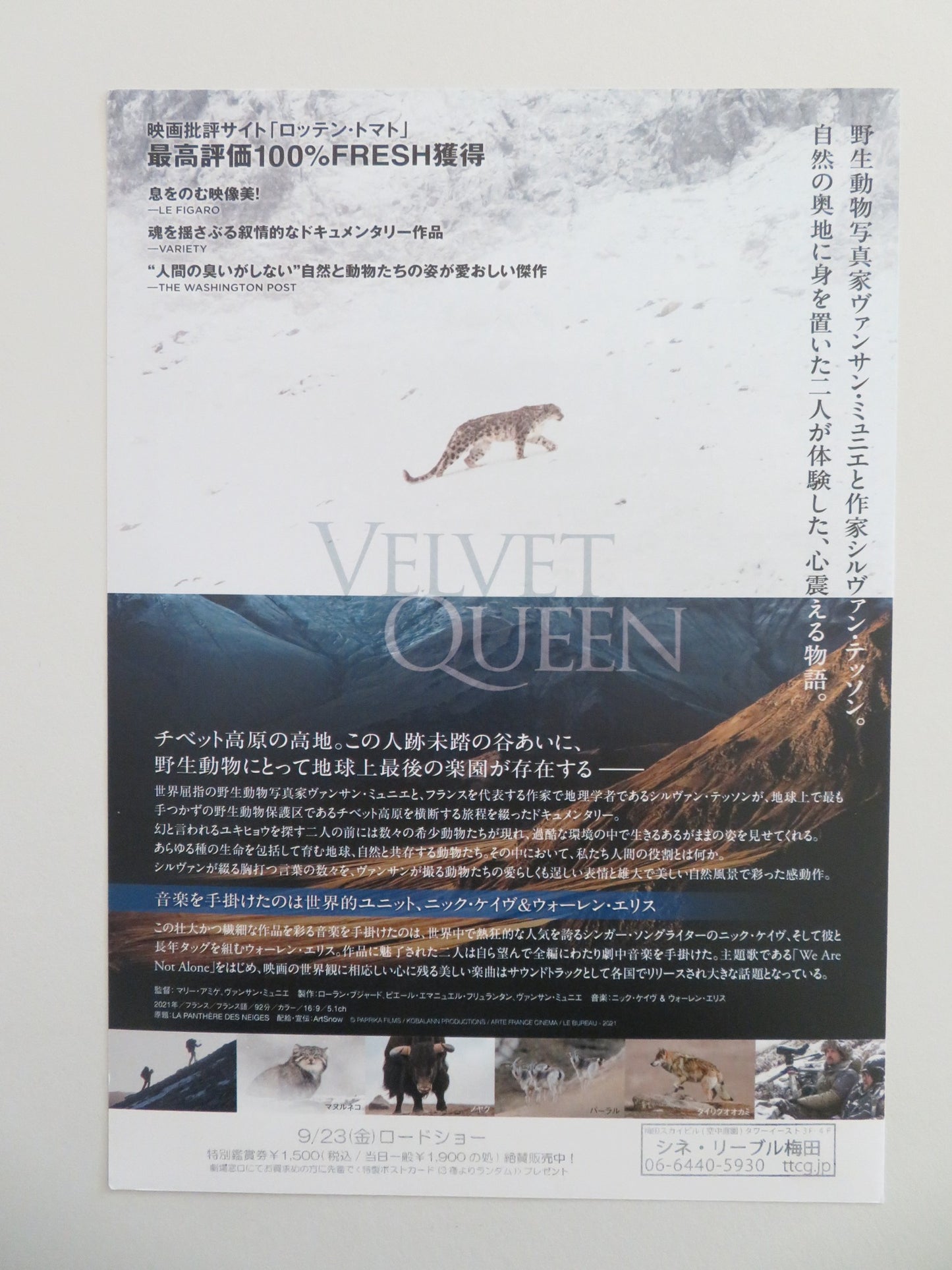 THE VELVET QUEEN JAPANESE CHIRASHI (B5) POSTER MUNIER SYLVAIN TESSON 2021