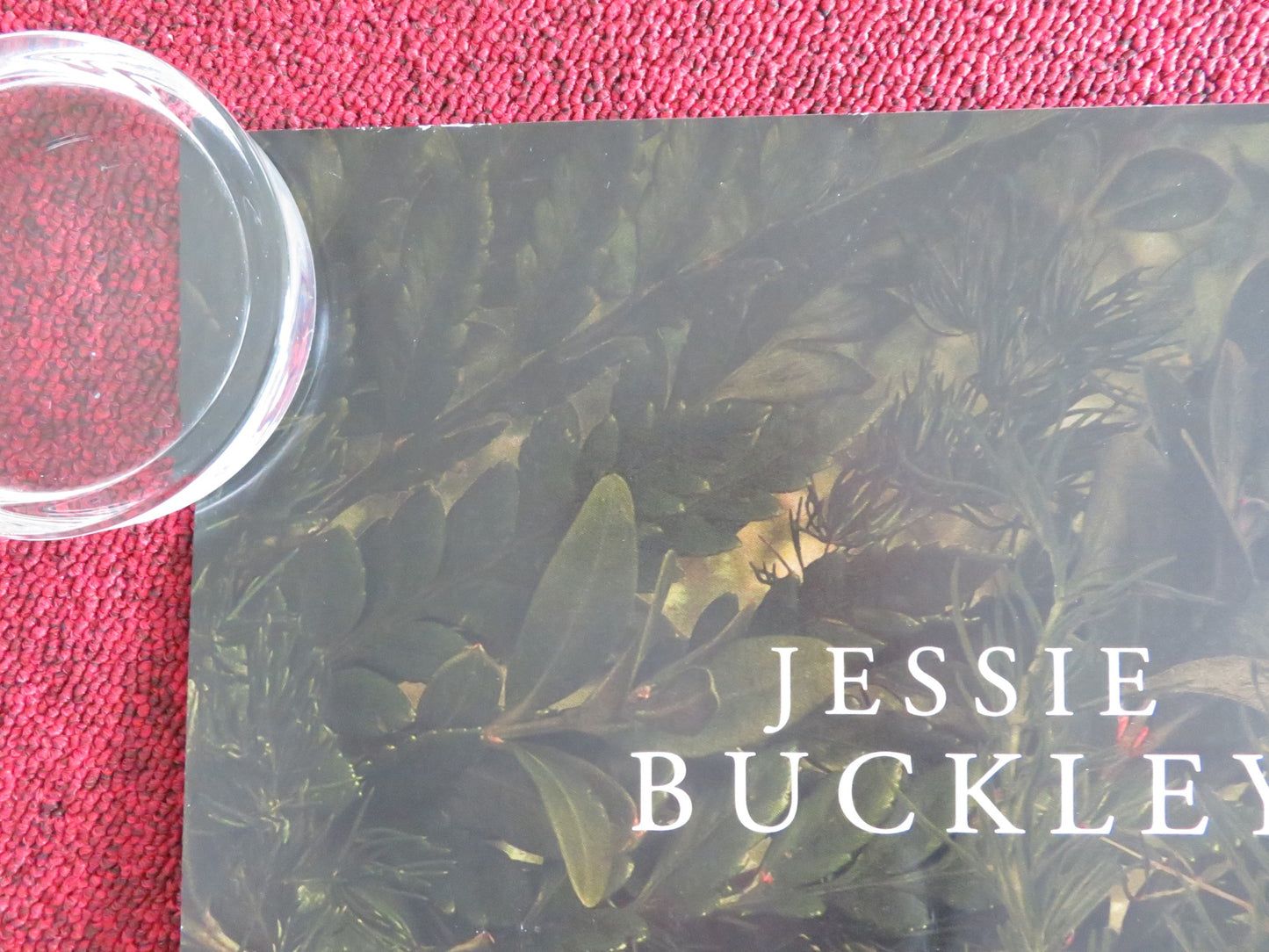 Hamnet UK Quad Rolled Poster Jessie Buckley Paul Mescal 2025