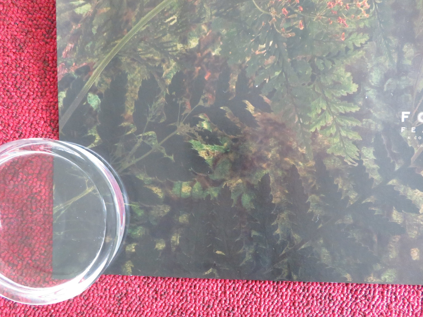 Hamnet UK Quad Rolled Poster Jessie Buckley Paul Mescal 2025