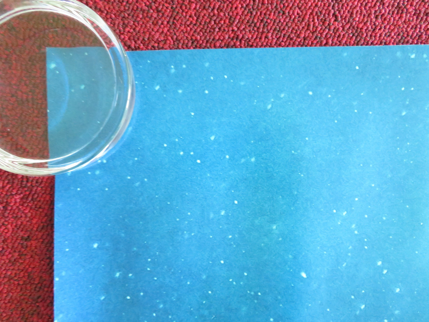 THE LIFE OF CHUCK - B UK QUAD ROLLED POSTER STEPHEN KING TOM HIDDLESTON 2024