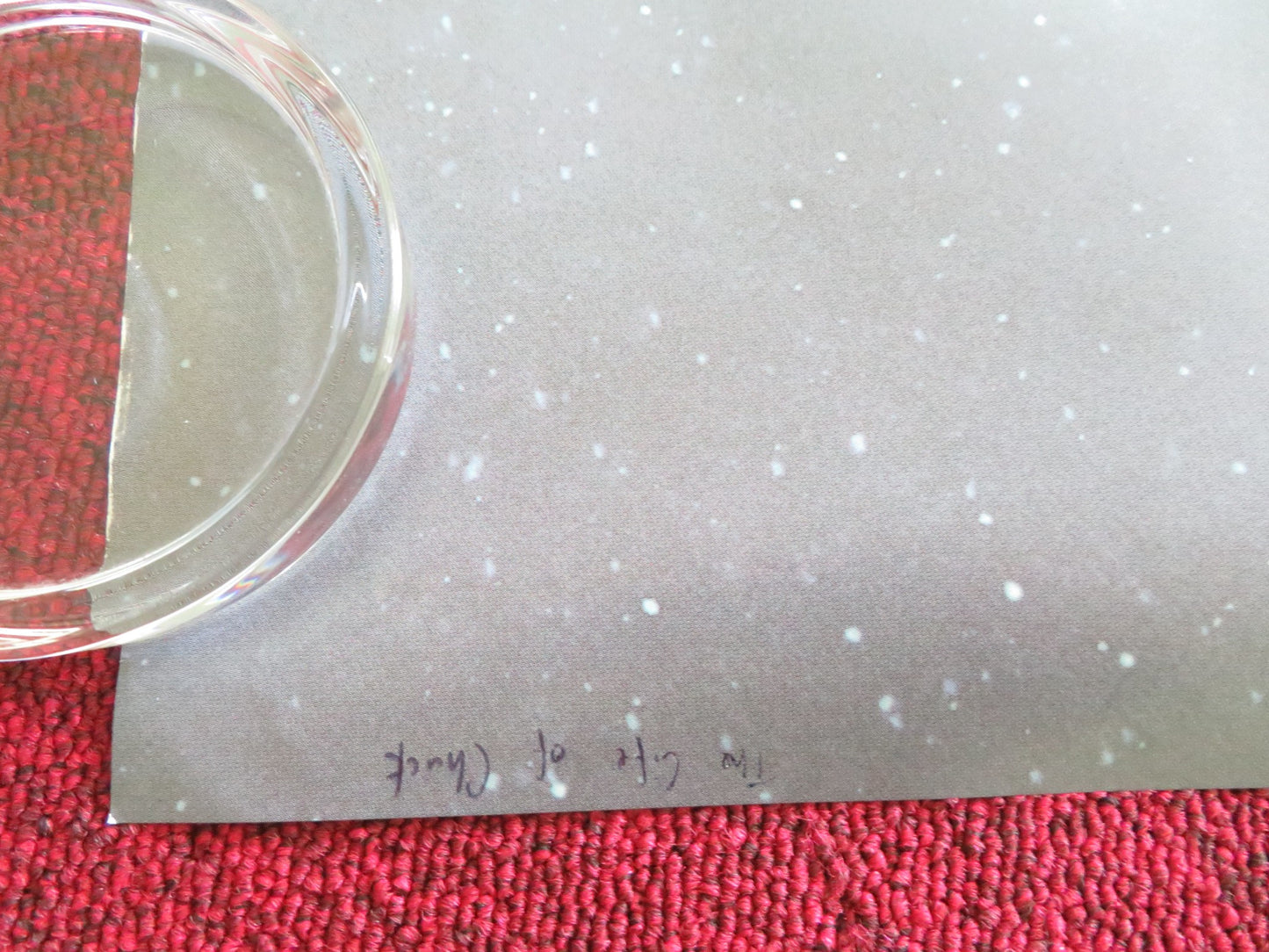 THE LIFE OF CHUCK - B UK QUAD ROLLED POSTER STEPHEN KING TOM HIDDLESTON 2024