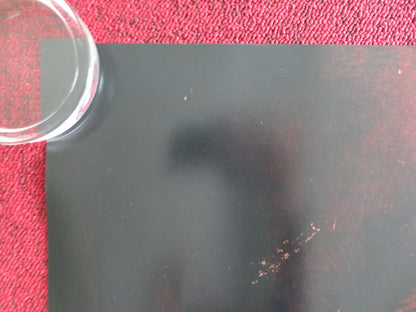 Send Help - B UK Quad Rolled Poster Rachel McAdams Dylan O'Brien 2026