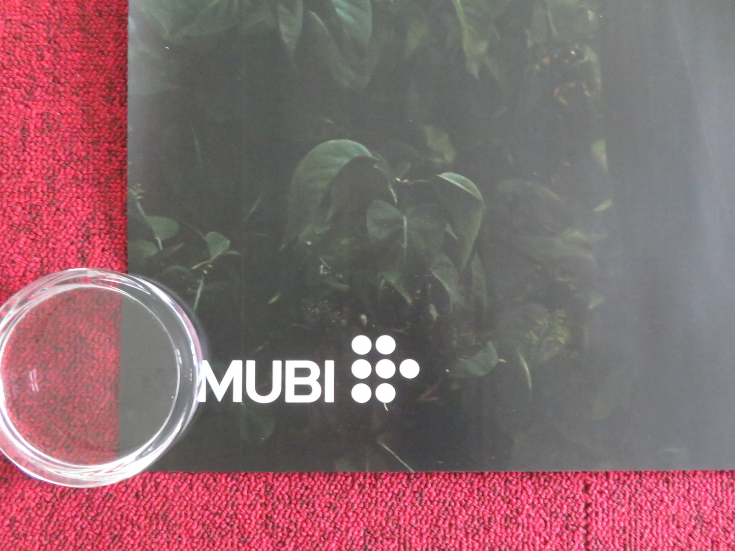 Sentimental Value UK Quad Rolled Poster Stellan Skarsgard Renate Reinsve 2025