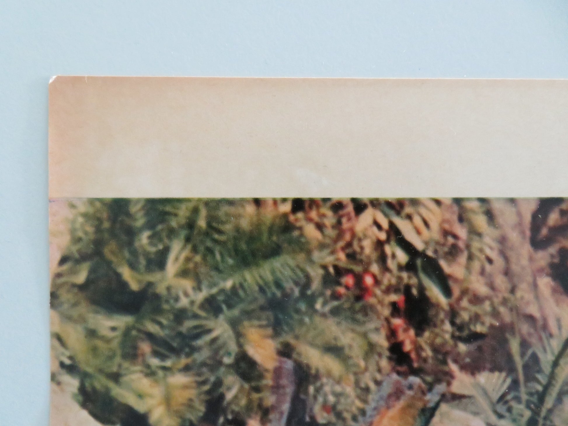 DOCTOR DOLITTLE - B ITALIAN FOTOBUSTA POSTER REX HARRISON ATTENBOROUGH 1968 - Rendezvous Cinema