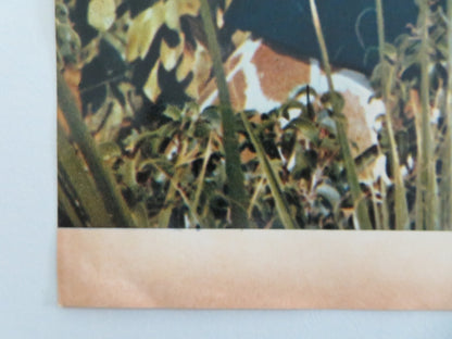 DOCTOR DOLITTLE - G ITALIAN FOTOBUSTA POSTER REX HARRISON ATTENBOROUGH 1968 - Rendezvous Cinema