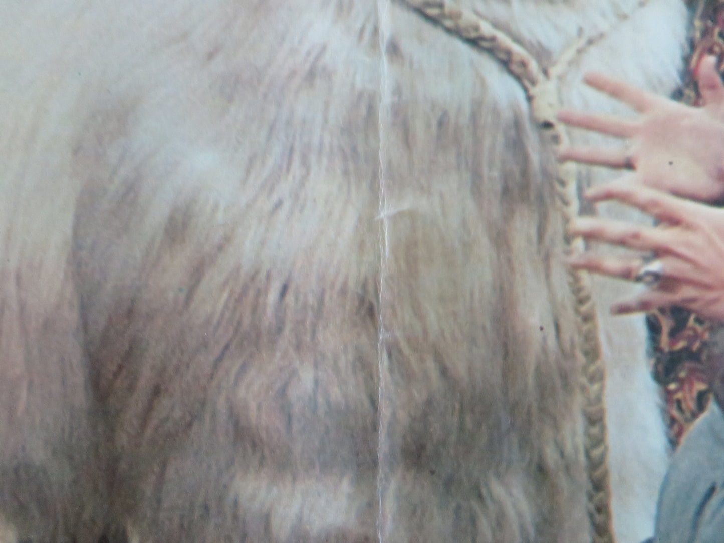 DOCTOR DOLITTLE - I ITALIAN FOTOBUSTA POSTER REX HARRISON ATTENBOROUGH 1968 - Rendezvous Cinema