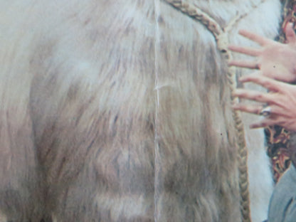 DOCTOR DOLITTLE - I ITALIAN FOTOBUSTA POSTER REX HARRISON ATTENBOROUGH 1968 - Rendezvous Cinema