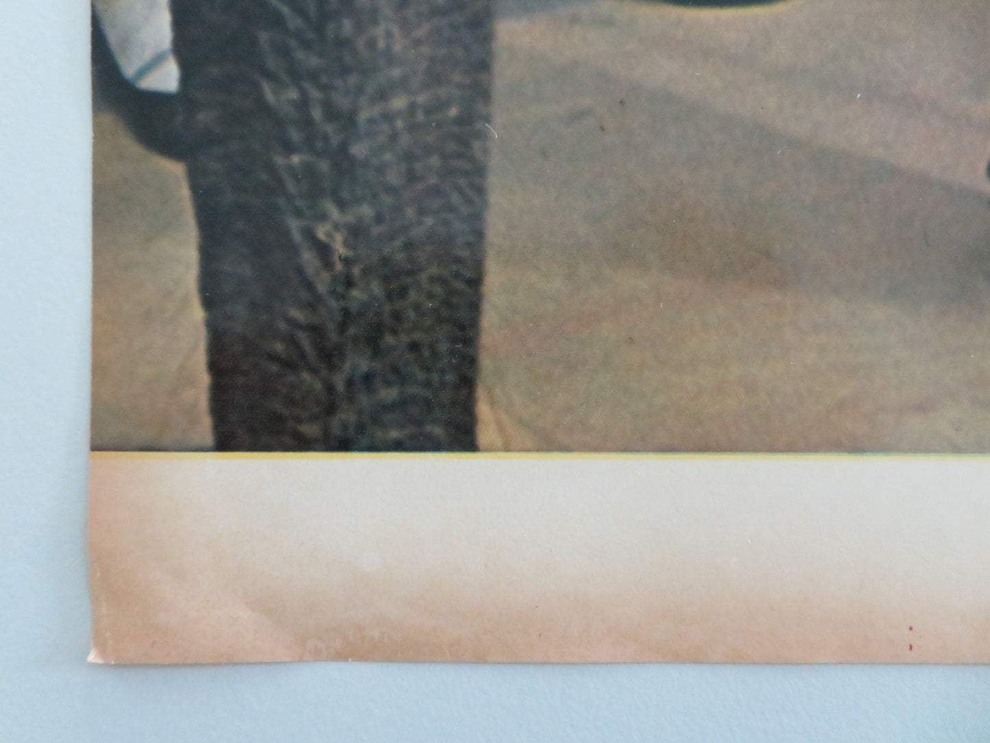 DOCTOR DOLITTLE - I ITALIAN FOTOBUSTA POSTER REX HARRISON ATTENBOROUGH 1968 - Rendezvous Cinema