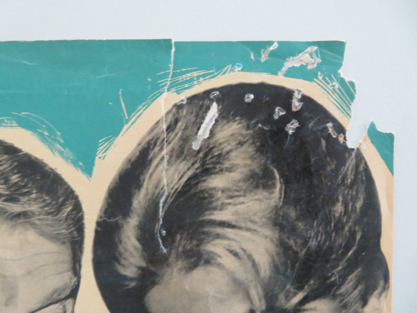 THE ABSENT MINDED PROFESSOR - A ITALIAN FOTOBUSTA POSTER DISNEY MACMURRAY 1961 - Rendezvous Cinema