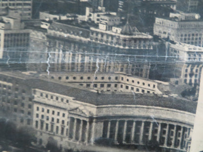 THE ABSENT MINDED PROFESSOR - B ITALIAN FOTOBUSTA POSTER DISNEY MACMURRAY 1961 - Rendezvous Cinema