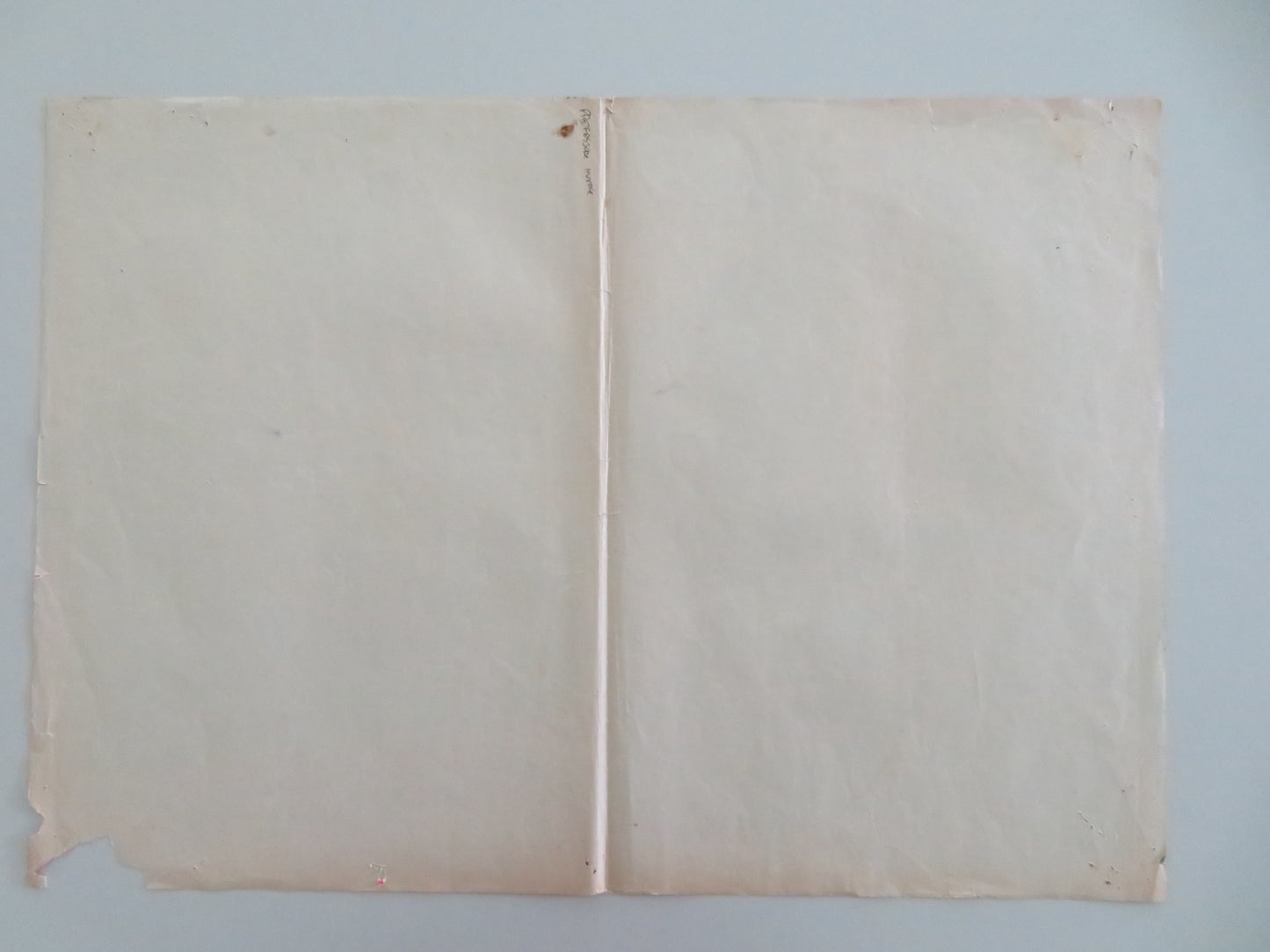 THE ABSENT MINDED PROFESSOR - B ITALIAN FOTOBUSTA POSTER DISNEY MACMURRAY 1961 - Rendezvous Cinema