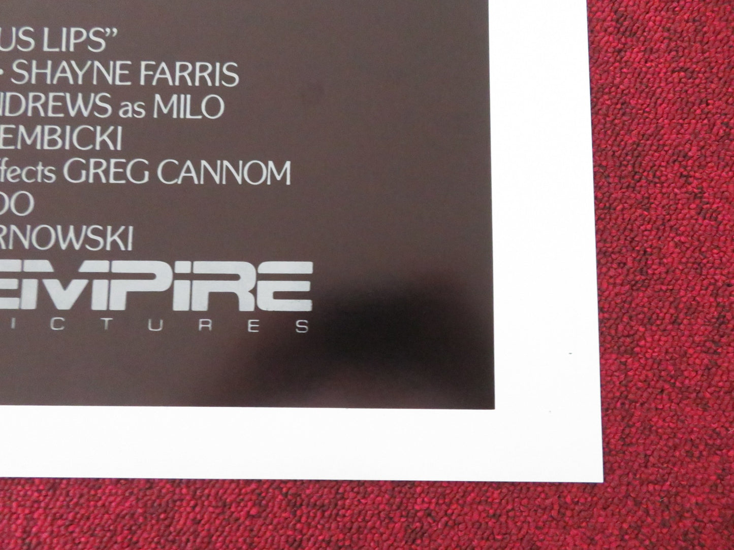 VICIOUS LIPS FOLDED US ONE SHEET POSTER DRU-ANNE PERRY GINA CALABRESE 1986