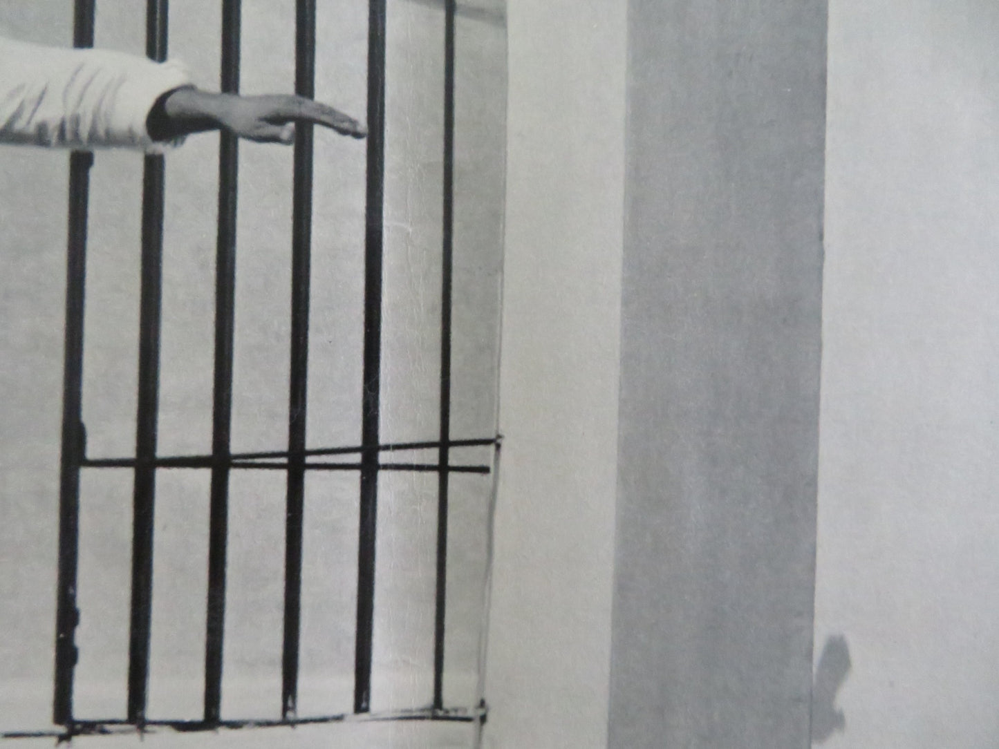 THE CHALLENGE - E ITALIAN FOTOBUSTA POSTER ROSANNA SCHIAFFINO JOSE SUAREZ 1958 - Rendezvous Cinema