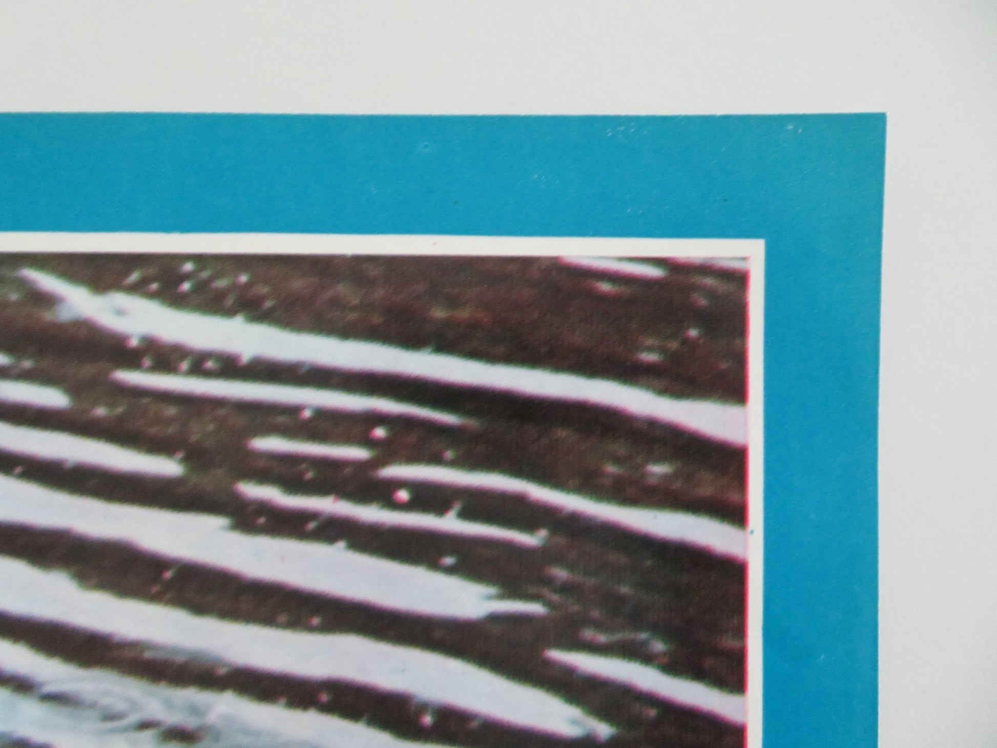 TEENAGE PLAYMATES - E ITALIAN FOTOBUSTA POSTER ELKE DEURINGER ALFRED ACKTUN 1974 - Rendezvous Cinema