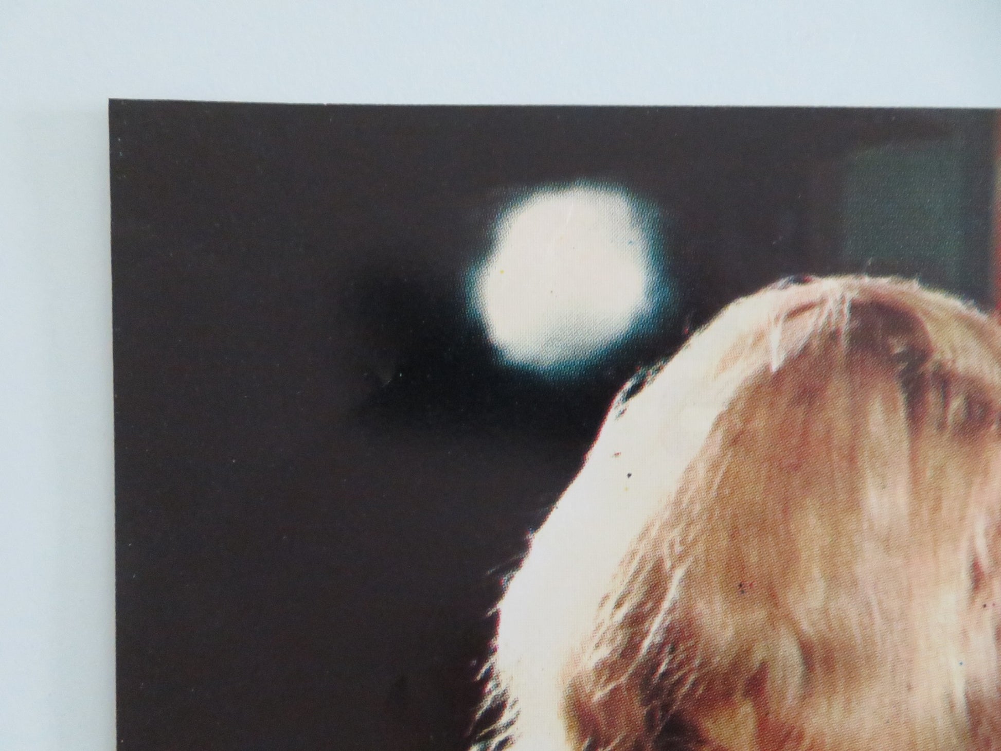 KISS ME KILLER - F ITALIAN FOTOBUSTA POSTER ALICE ARNO LINA ROMAY 1977 - Rendezvous Cinema