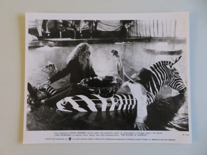 THE WITCHES OF EASTWICK MOVIE STILL PHOTO LOT OF 5 JACK NICHOLSON SARANDON 1987