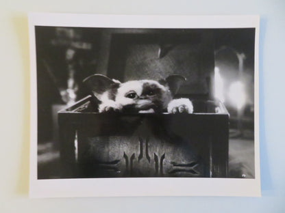 GREMLINS - A MOVIE STILL PHOTO LOT OF 2 ZACH GALLIGAN PHOEBE CATES 1984