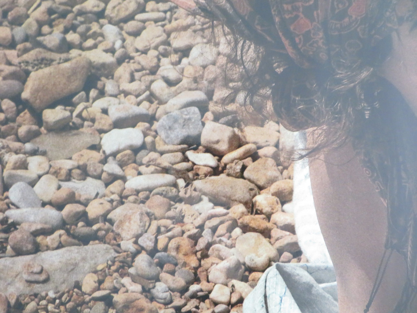 HOT MILK UK QUAD ROLLED POSTER EMMA MACKEY FIONA SHAW 2025