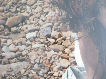 HOT MILK UK QUAD ROLLED POSTER EMMA MACKEY FIONA SHAW 2025