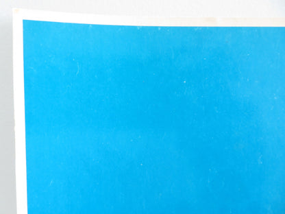 GULIZAR - C ITALIAN FOTOBUSTA POSTER EMEL SAYIN EDIZ HUN 1972 - Rendezvous Cinema