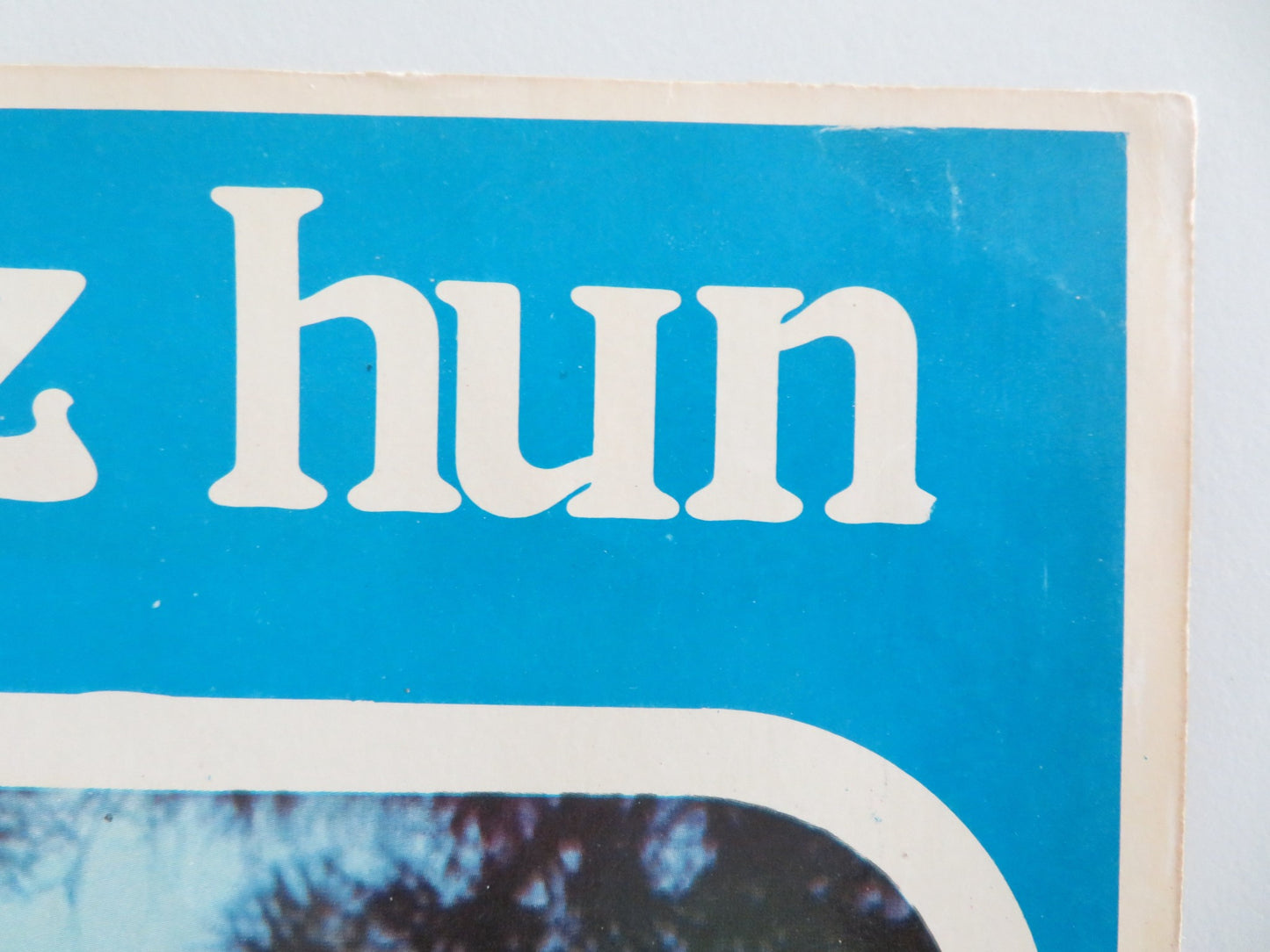 GULIZAR - D ITALIAN FOTOBUSTA POSTER EMEL SAYIN EDIZ HUN 1972 - Rendezvous Cinema