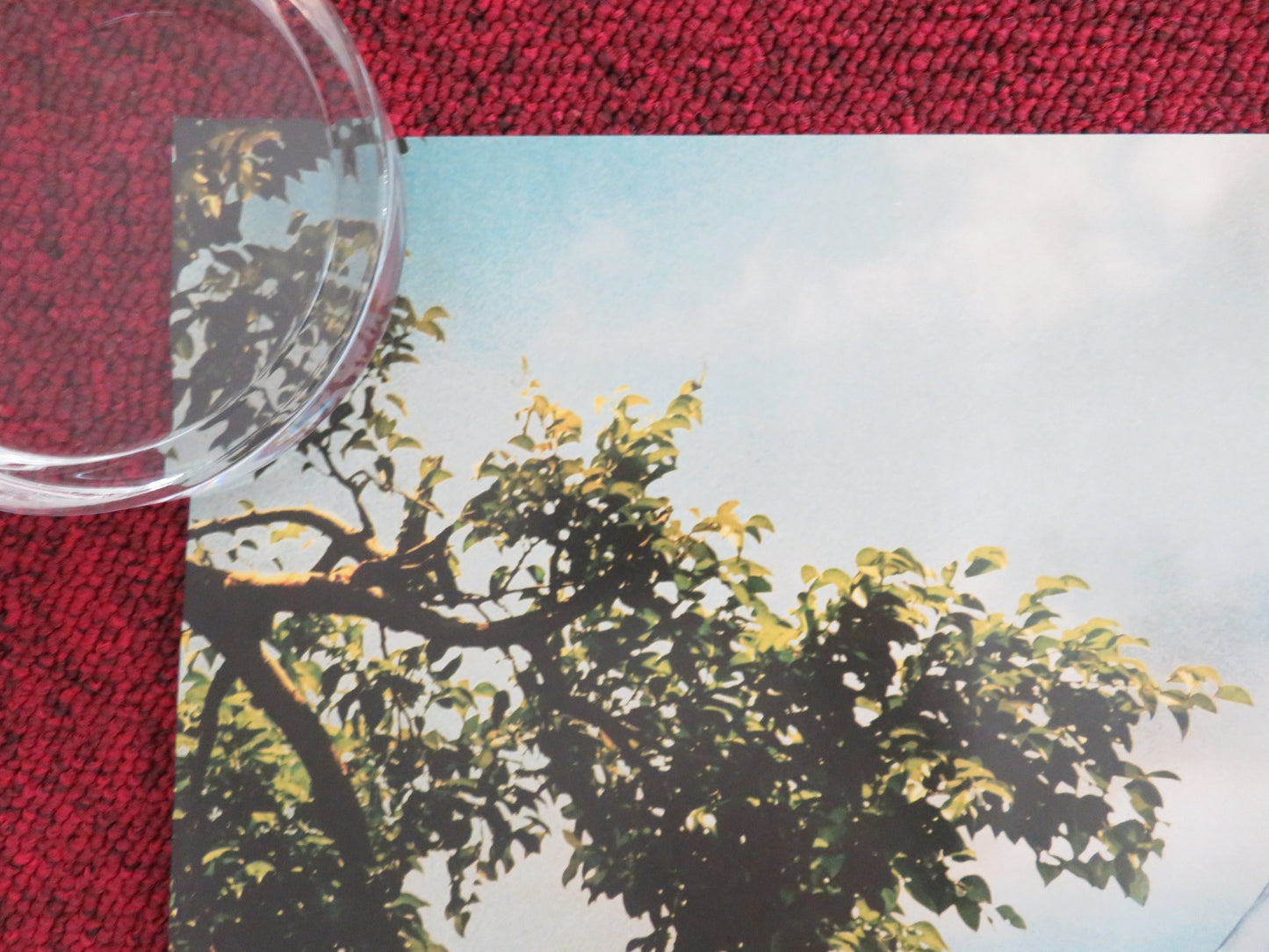 MISS PEREGRINE'S HOME FOR PECULIAR CHILDREN UK QUAD ROLLED POSTER 2016