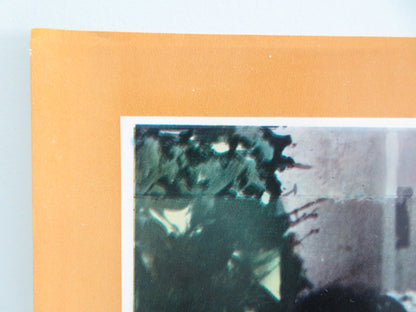 THE LONG GOODBYE - A ITALIAN FOTOBUSTA POSTER ELLIOT GOULD VAN PALLANDT 1973 - Rendezvous Cinema