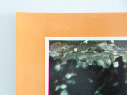 THE LONG GOODBYE - B ITALIAN FOTOBUSTA POSTER ELLIOT GOULD VAN PALLANDT 1973 - Rendezvous Cinema