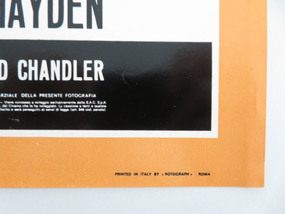 THE LONG GOODBYE - E ITALIAN FOTOBUSTA POSTER ELLIOT GOULD VAN PALLANDT 1973 - Rendezvous Cinema