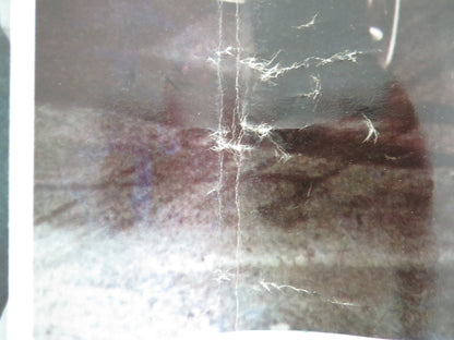 THE LONG GOODBYE - G ITALIAN FOTOBUSTA POSTER ELLIOT GOULD VAN PALLANDT 1973 - Rendezvous Cinema