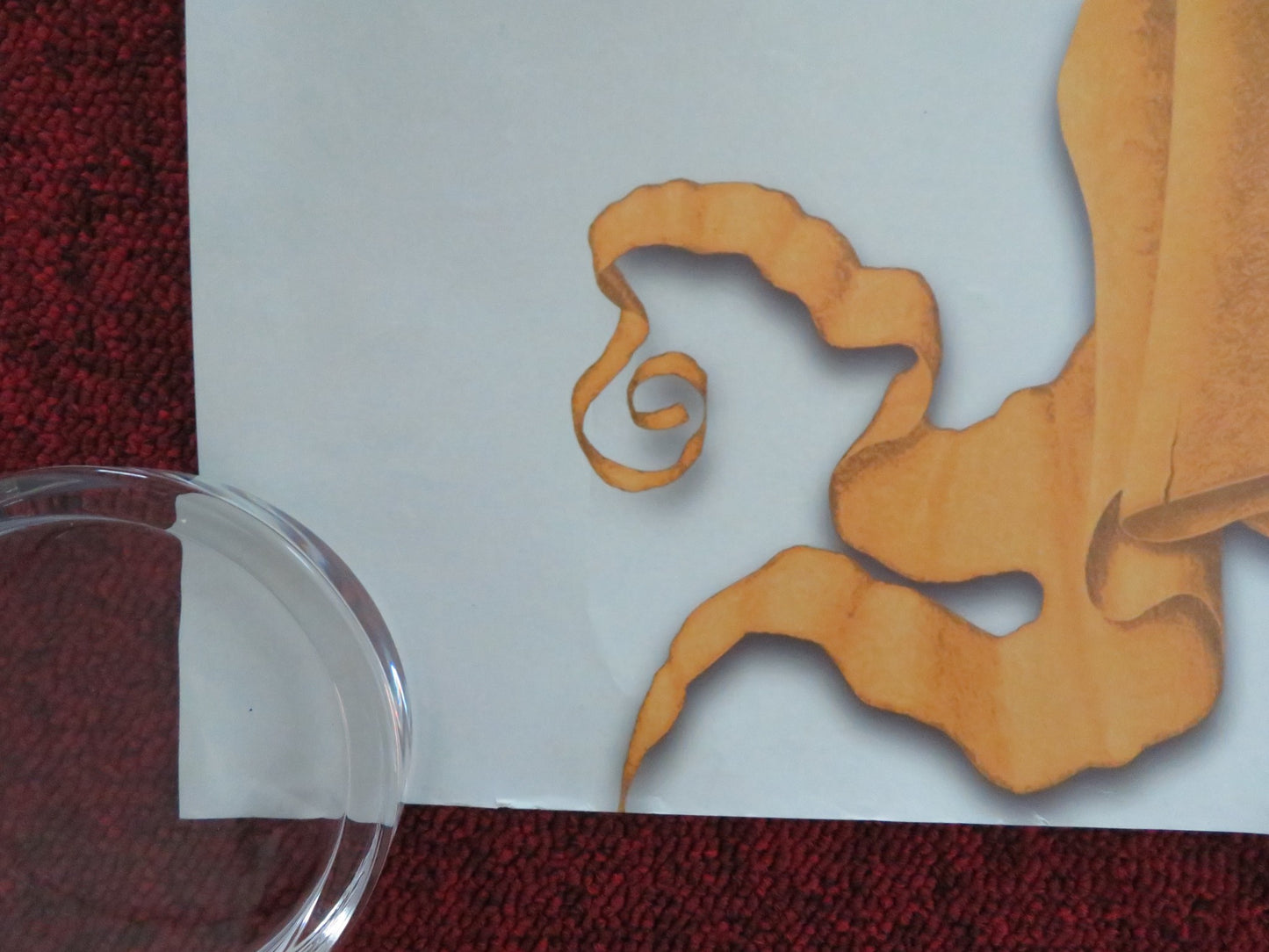 HOODWINKED UK QUAD ROLLED POSTER ANNE HATHAWAY GLENN CLOSE JIM BELUSHI 2005