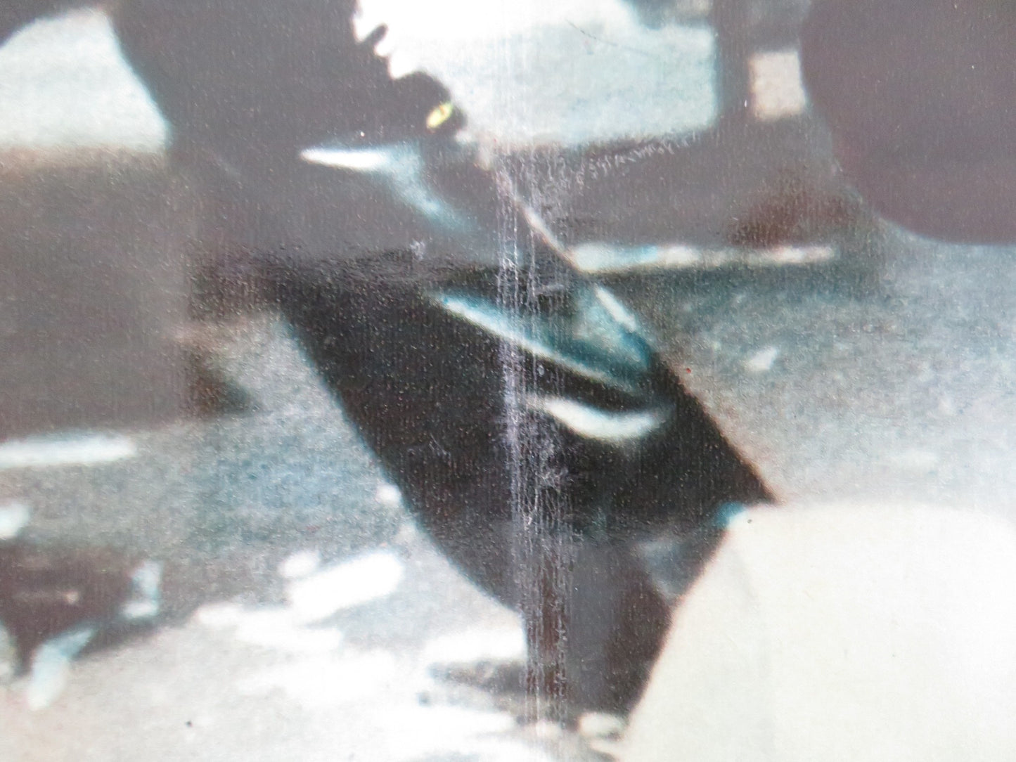 SHAFT - D ITALIAN FOTOBUSTA POSTER RICHARD ROUNDTREE MOSES GUNN 1971 - Rendezvous Cinema