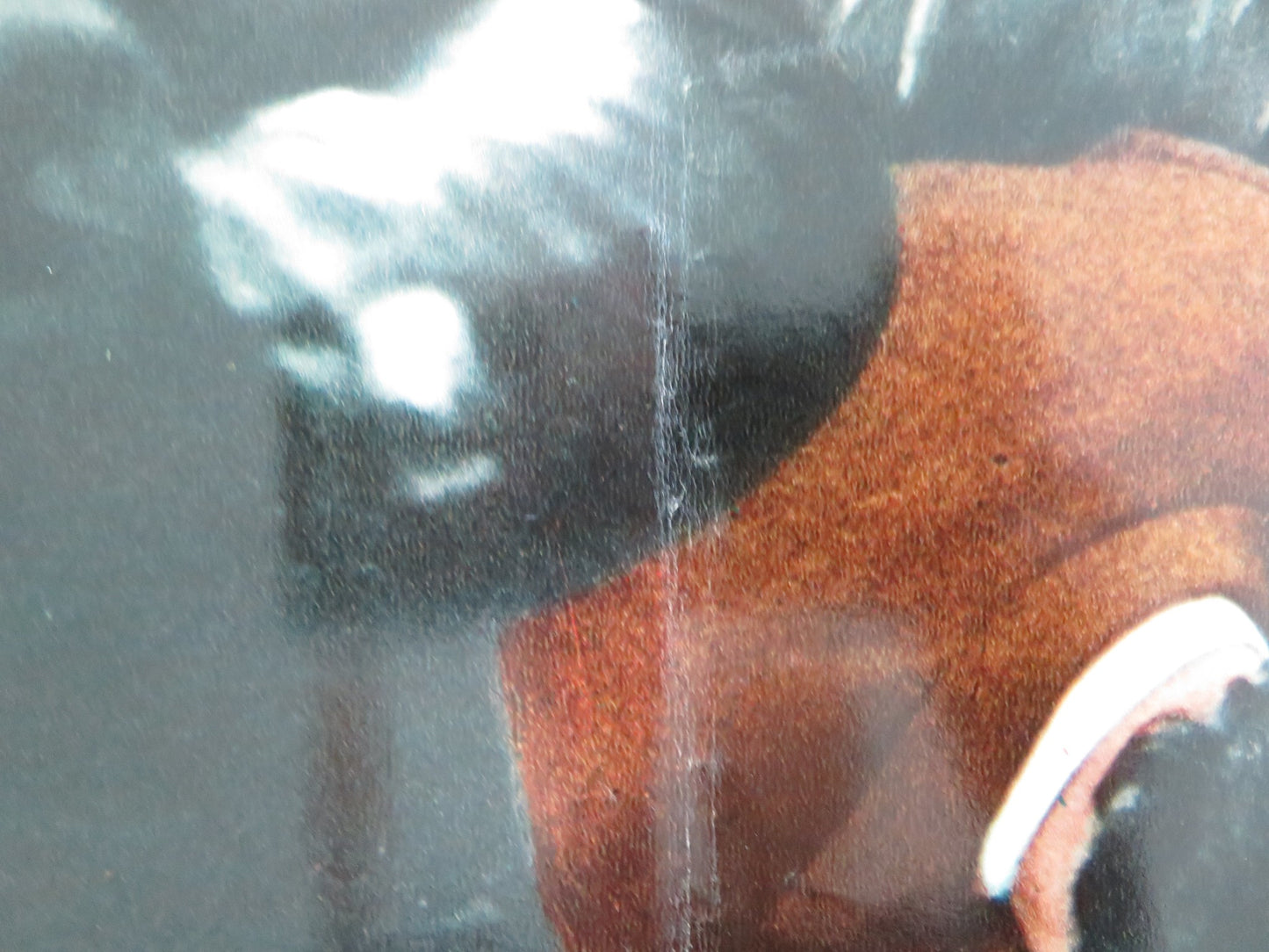 SHAFT - F ITALIAN FOTOBUSTA POSTER RICHARD ROUNDTREE MOSES GUNN 1971 - Rendezvous Cinema