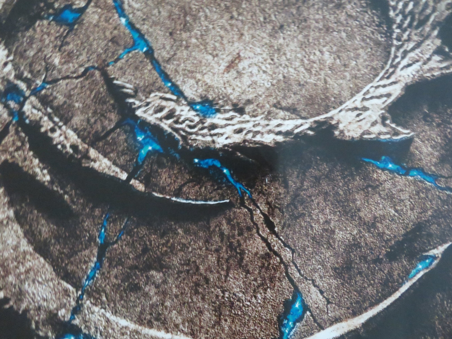 ERAGON - B UK QUAD ROLLED POSTER ED SPELEERS JEREMY IRONS 2006