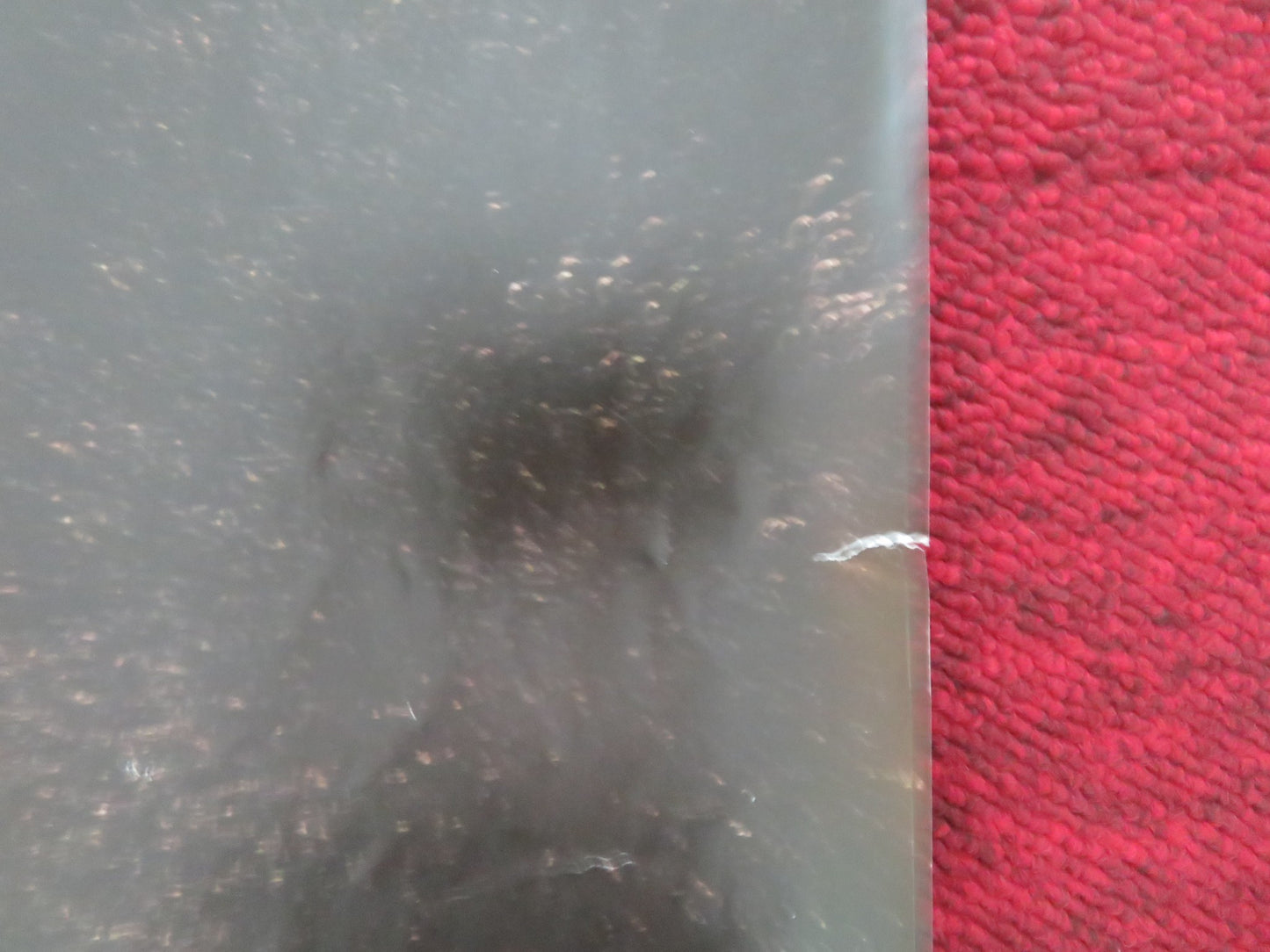 ERAGON - B UK QUAD ROLLED POSTER ED SPELEERS JEREMY IRONS 2006