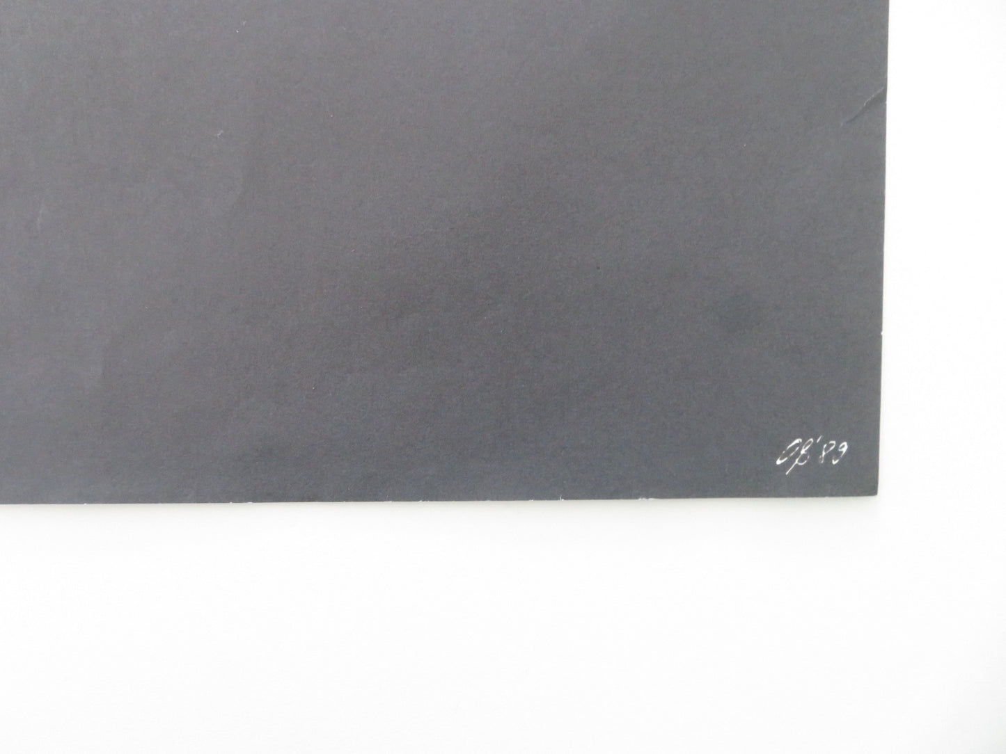 THE HOMING SEASON GERMAN A1 ROLLED POSTER MARIA ERICA RAMOS ALEJANDRO COHEN 1989 - Rendezvous Cinema