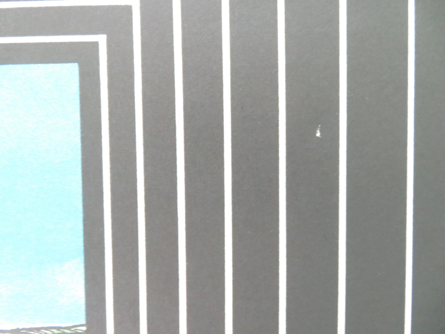 THE HOMING SEASON GERMAN A1 ROLLED POSTER MARIA ERICA RAMOS ALEJANDRO COHEN 1989 - Rendezvous Cinema