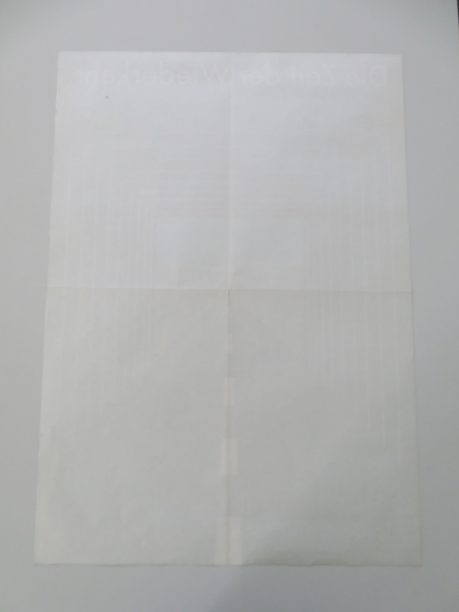 THE HOMING SEASON GERMAN A1 ROLLED POSTER MARIA ERICA RAMOS ALEJANDRO COHEN 1989 - Rendezvous Cinema