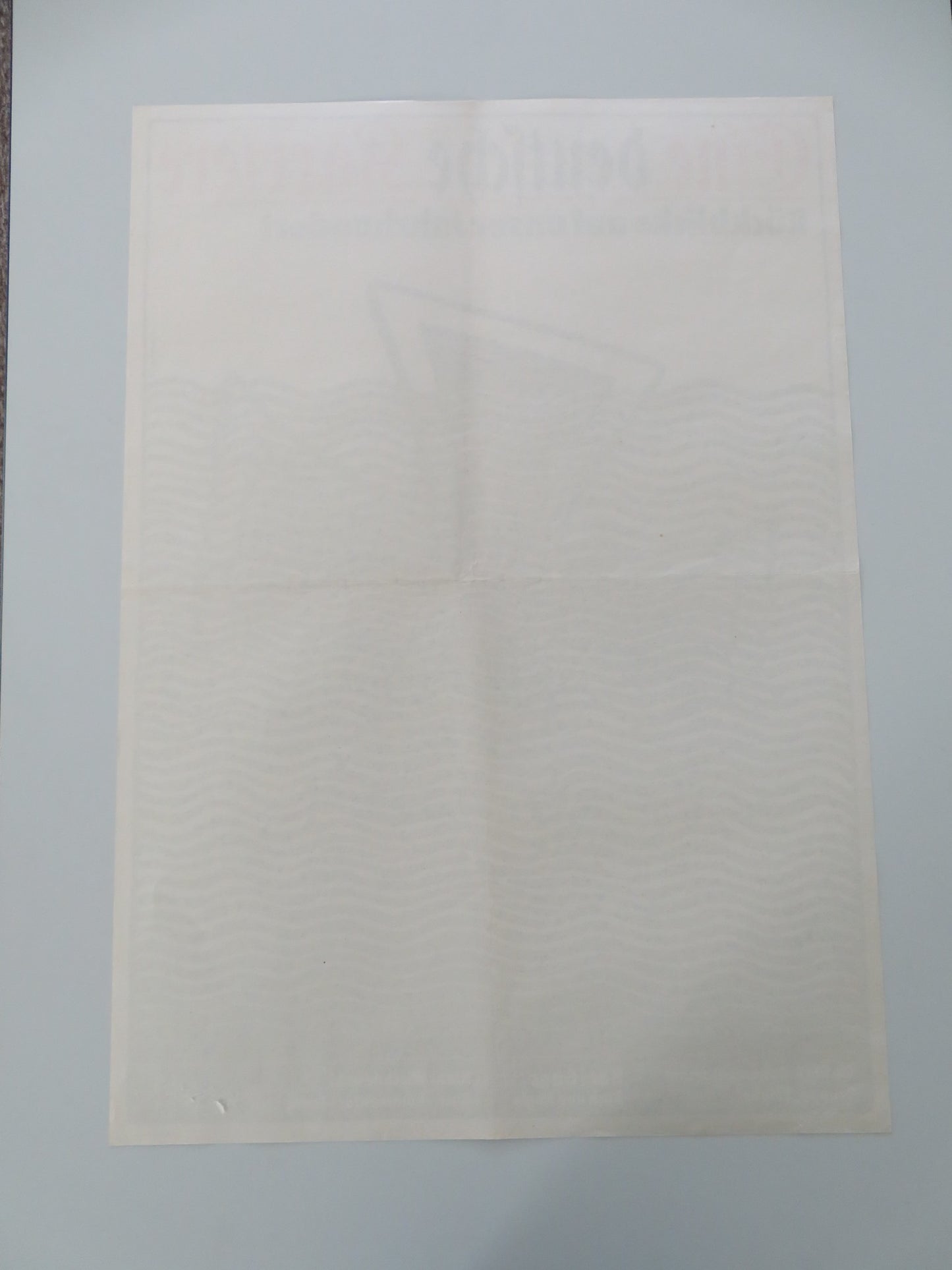 EINE DEUTSCHE KARRIERE GERMAN A1 ROLLED POSTER KLAUS WISCHNEWSKI 1988 - Rendezvous Cinema