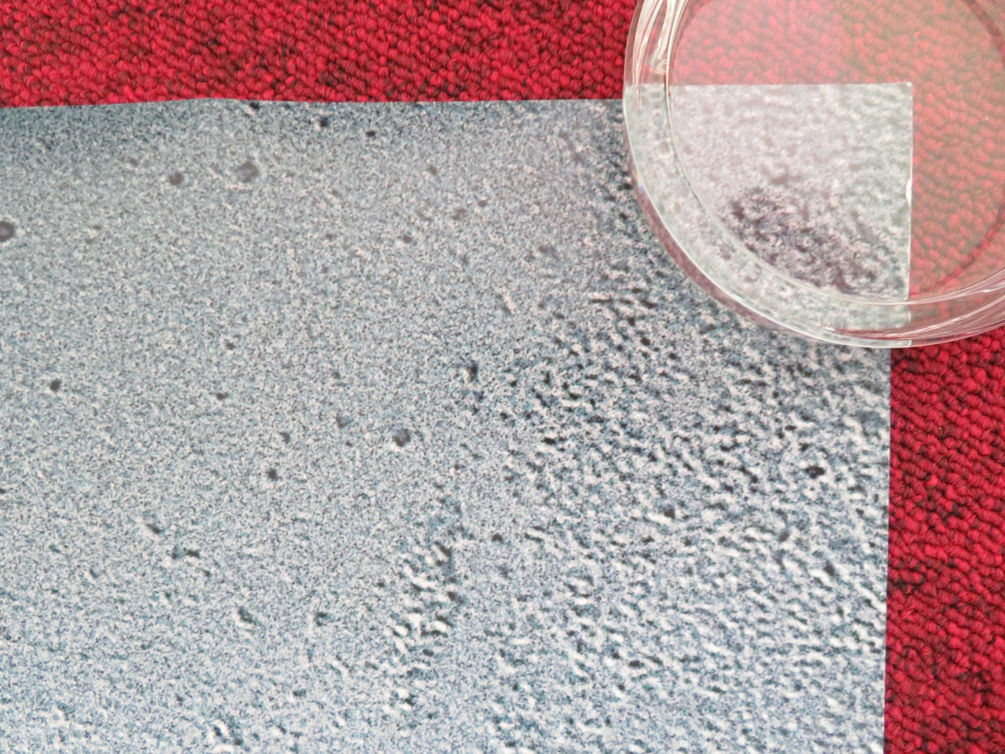 AEON FLUX US ONE SHEET ROLLED POSTER CHARLIZE THERON JONNY LEE MILLER 2005 - Rendezvous Cinema