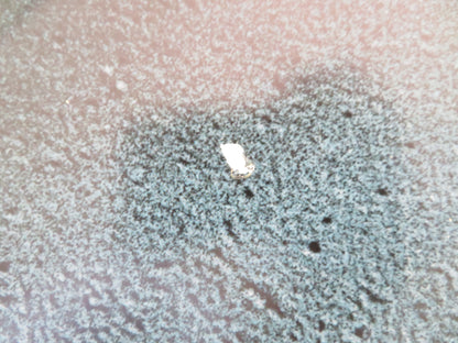 AEON FLUX US ONE SHEET ROLLED POSTER CHARLIZE THERON JONNY LEE MILLER 2005 - Rendezvous Cinema