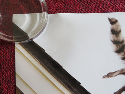 ARE WE DONE YET? US ONE SHEET ROLLED POSTER ICE CUBE NIA LONG 2007 - Rendezvous Cinema