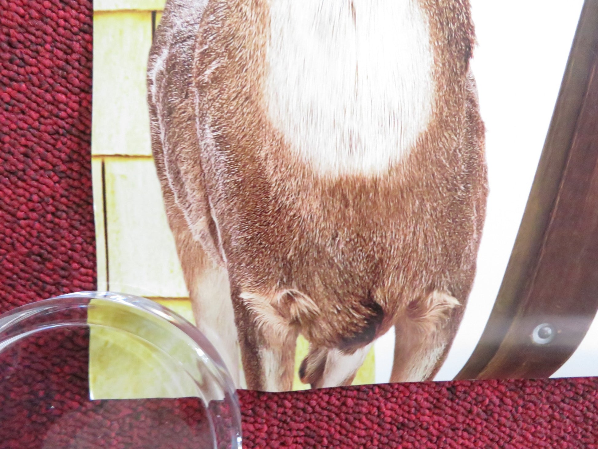 ARE WE DONE YET? US ONE SHEET ROLLED POSTER ICE CUBE NIA LONG 2007 - Rendezvous Cinema